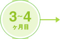3～4ヶ月目